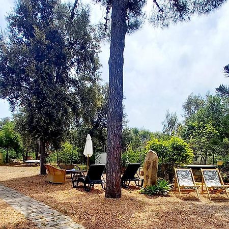 Villa Assunta แตร์เตนิอา ภายนอก รูปภาพ