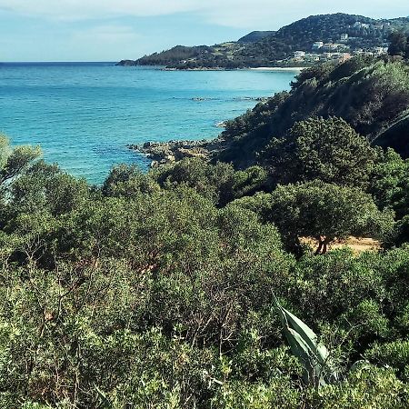 Villa Assunta แตร์เตนิอา ภายนอก รูปภาพ