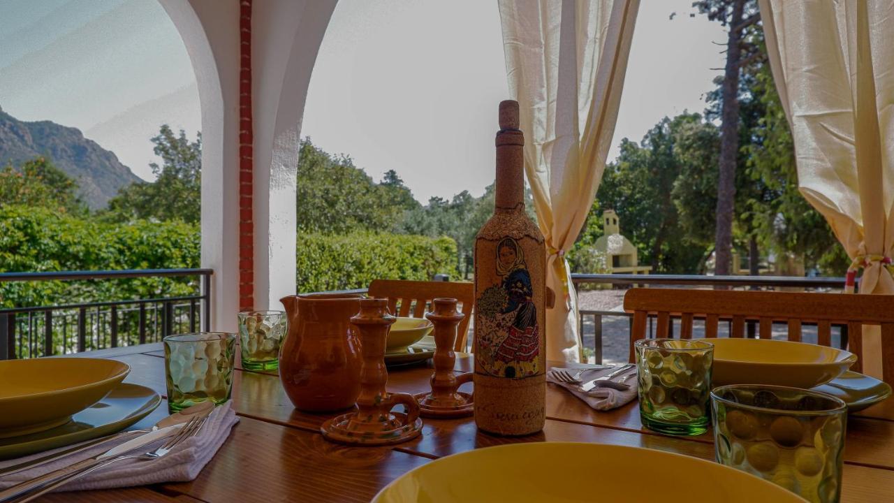 Villa Assunta แตร์เตนิอา ภายนอก รูปภาพ