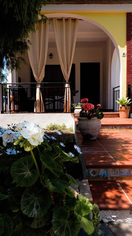 Villa Assunta แตร์เตนิอา ภายนอก รูปภาพ