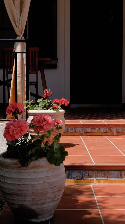 Villa Assunta แตร์เตนิอา ภายนอก รูปภาพ